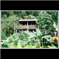 12383 122 Sarawak Culture Village bei Kuting Malaysia 2006 Sarawak.jpg